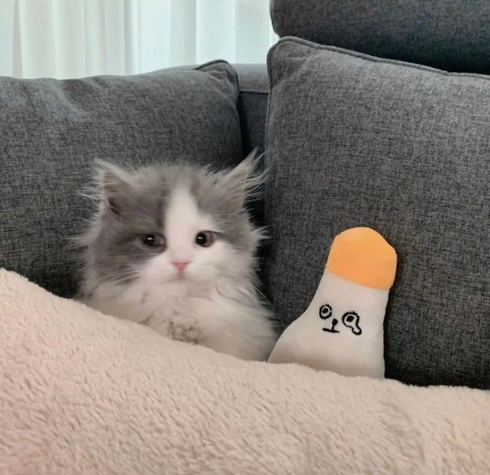 倦旅人的头像-鱼见海资源网-免费PHP网站源码模板,插件软件网创AI智能体资源分享平台！