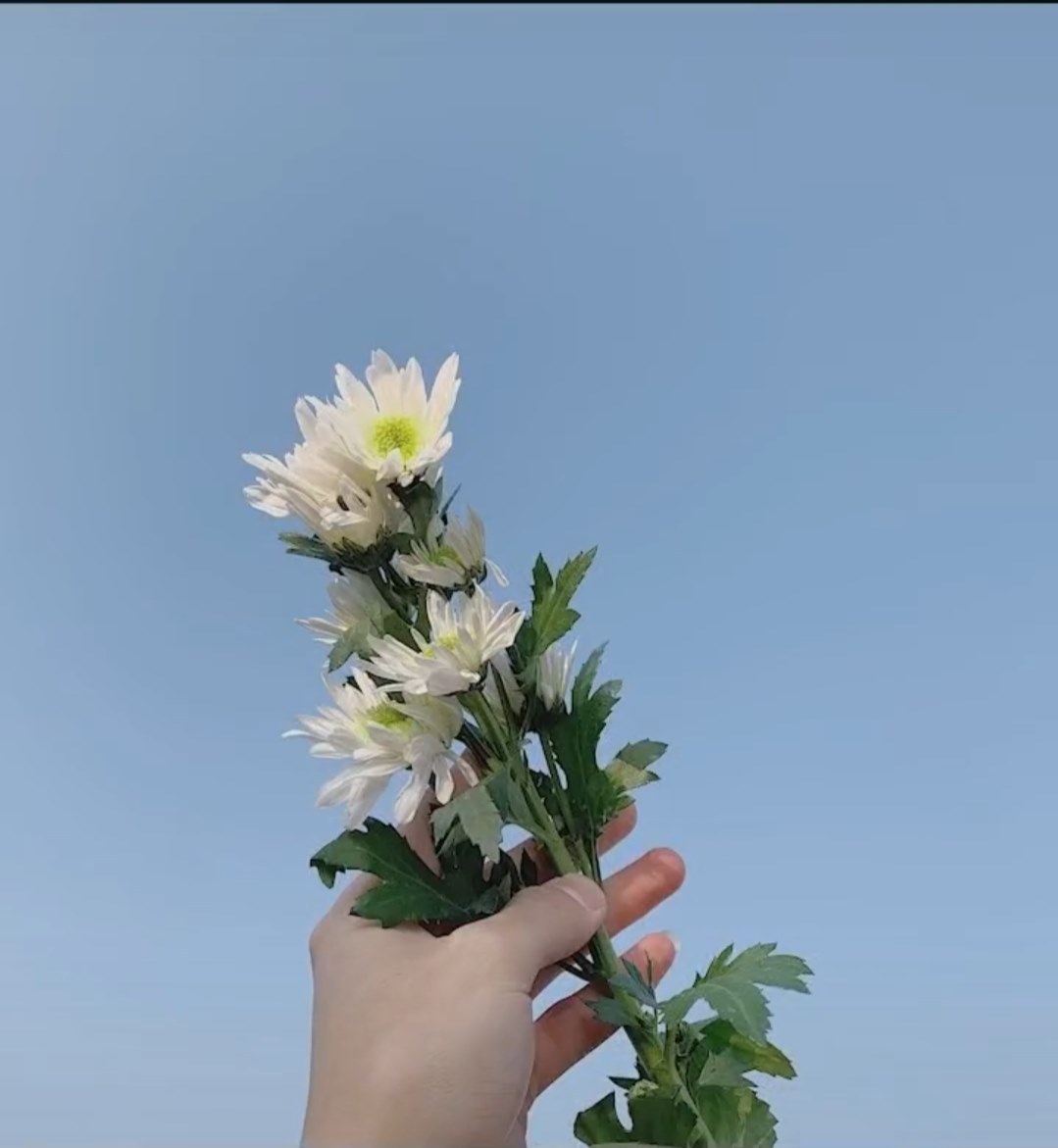 你是我的最爱的人的头像-鱼见海资源网-免费PHP网站源码模板,插件软件网创AI智能体资源分享平台！