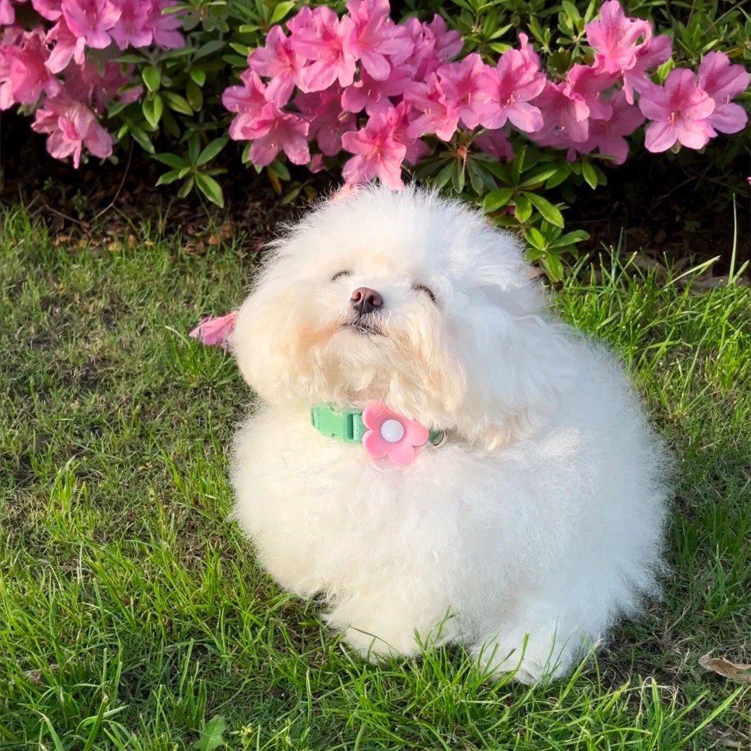 乔北乔沐的头像-鱼见海资源网-免费PHP网站源码模板,插件软件网创AI智能体资源分享平台！