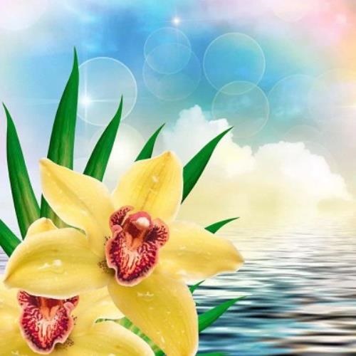 拽帅的头像-鱼见海资源网-免费PHP网站源码模板,插件软件网创AI智能体资源分享平台！