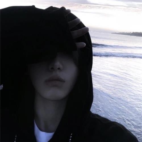 男神独揽者的头像-鱼见海资源网-免费PHP网站源码模板,插件软件网创AI智能体资源分享平台！