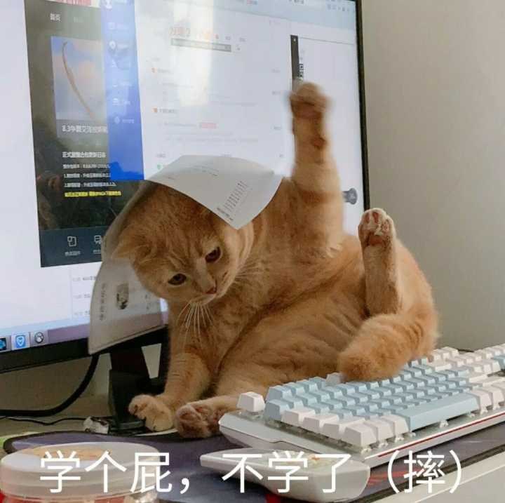 美酒老友的头像-ChmlFrp交流社区