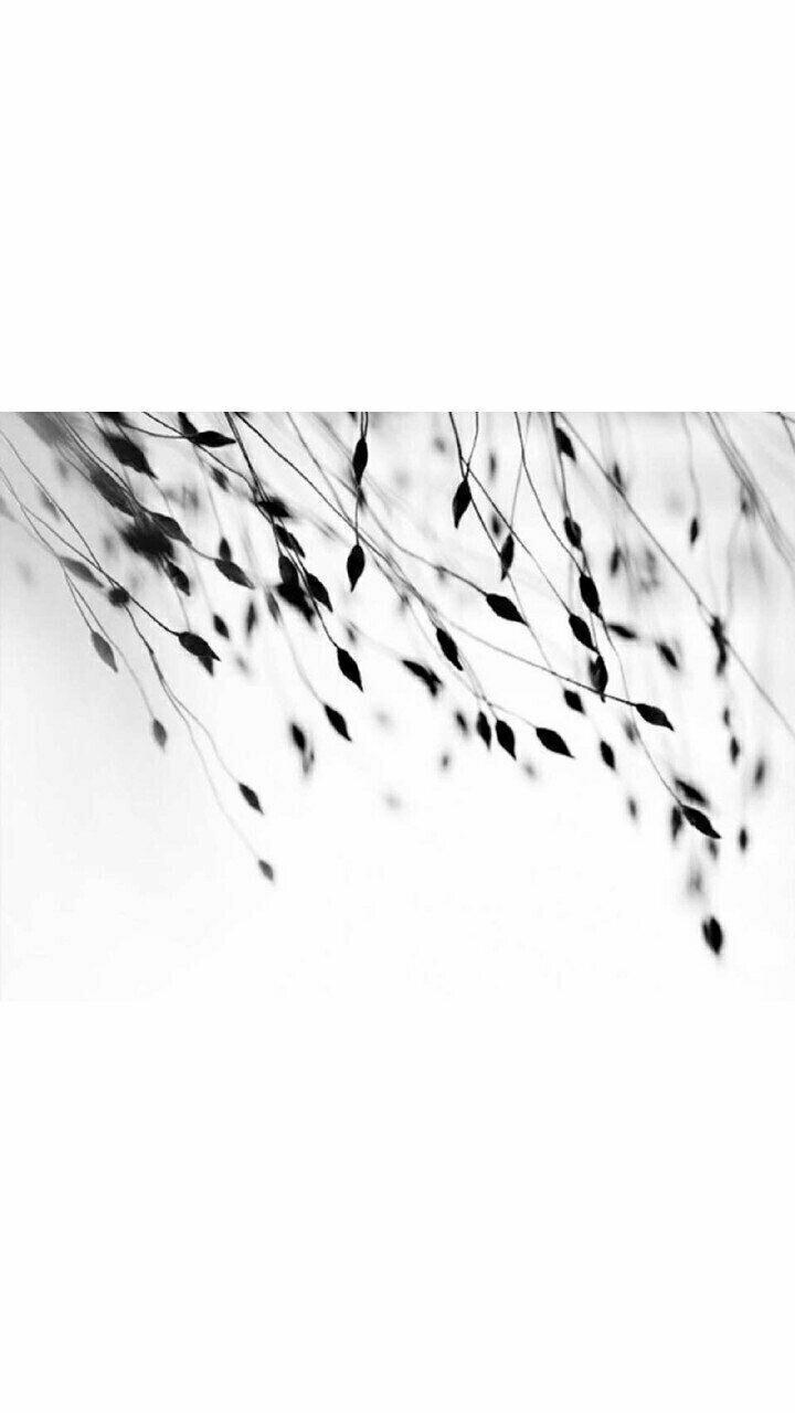 阳光下承诺给你未来我们换个地方好不好的头像-鱼见海资源网-免费PHP网站源码模板,插件软件网创AI智能体资源分享平台！