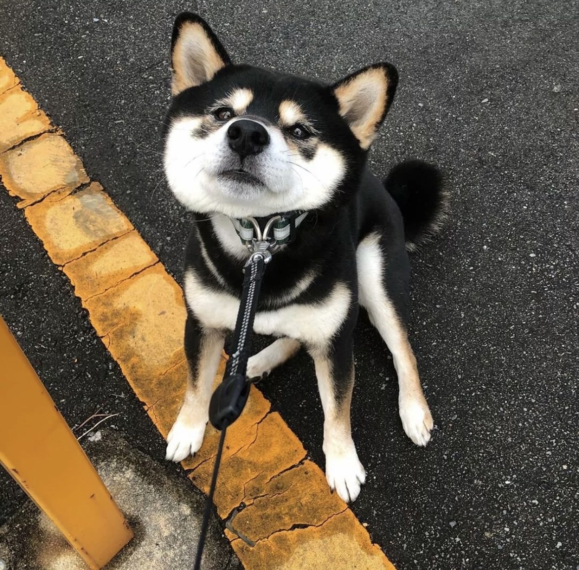 走了就别再回来了的头像-鱼见海资源网-免费PHP网站源码模板,插件软件网创AI智能体资源分享平台！