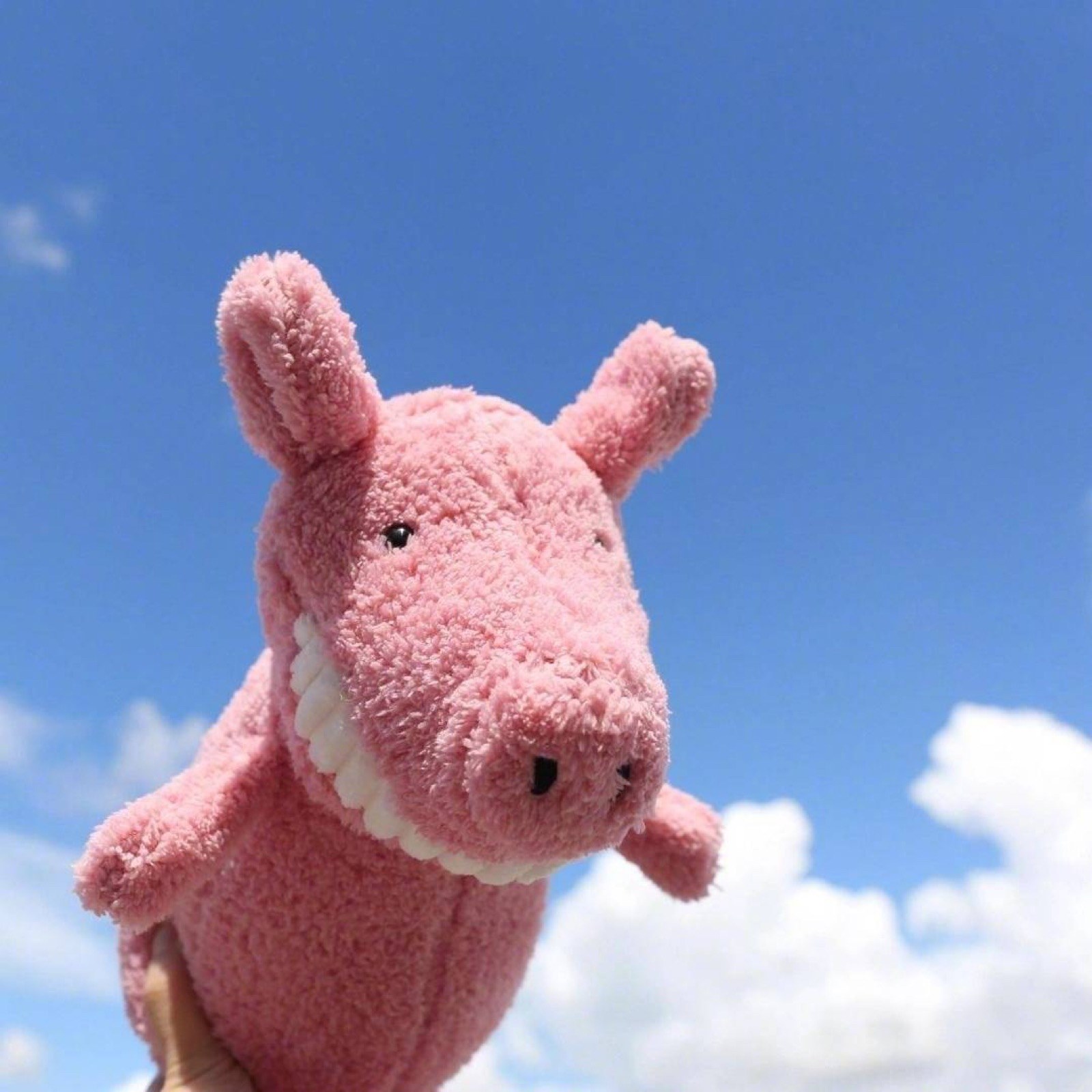 若清的头像-鱼见海资源网-免费PHP网站源码模板,插件软件网创AI智能体资源分享平台！