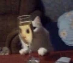 研究透彻的头像-晚枫网络