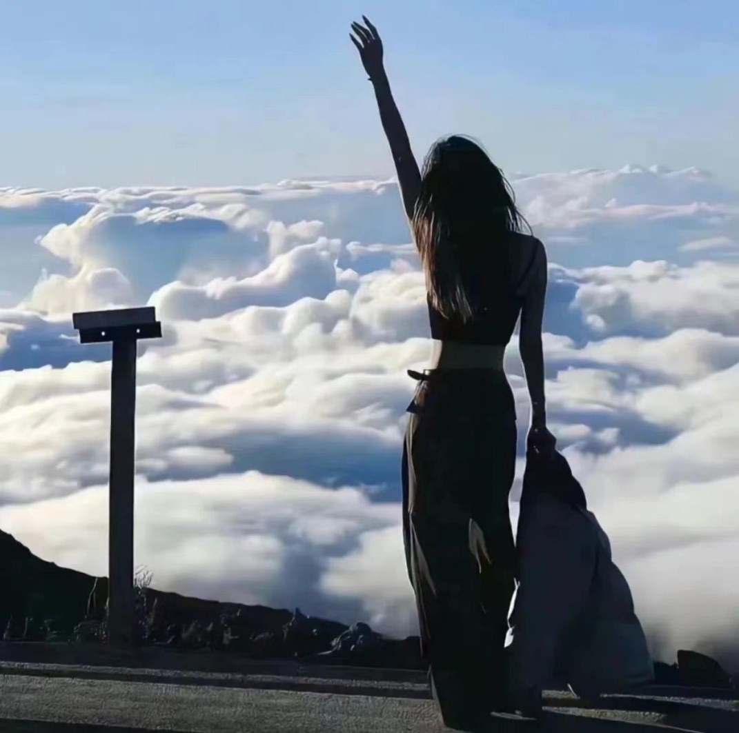 我怎么样你有意见的头像-鱼见海资源网-免费PHP网站源码模板,插件软件网创AI智能体资源分享平台！