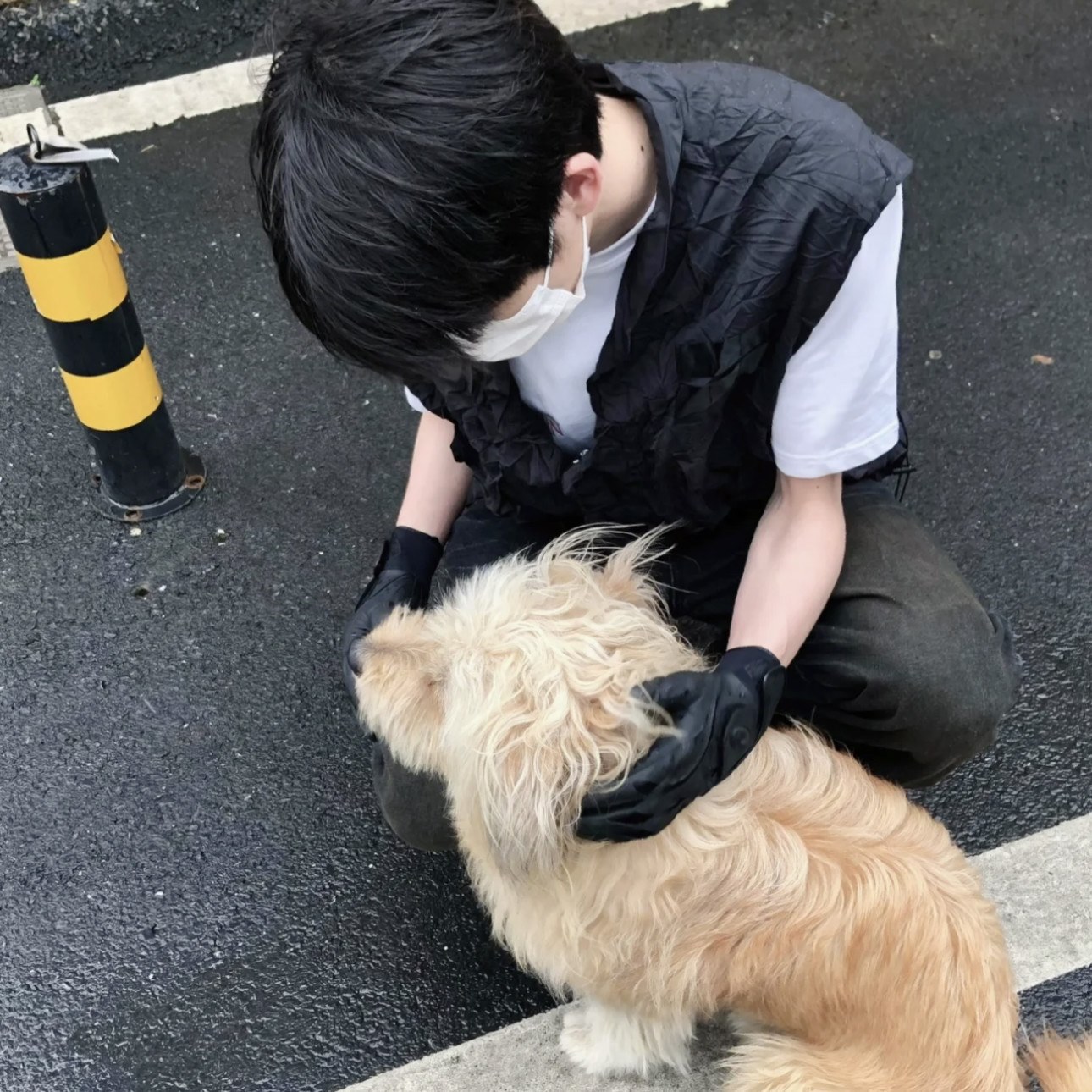 终是相忘的头像-鱼见海资源网-免费PHP网站源码模板,插件软件网创AI智能体资源分享平台！