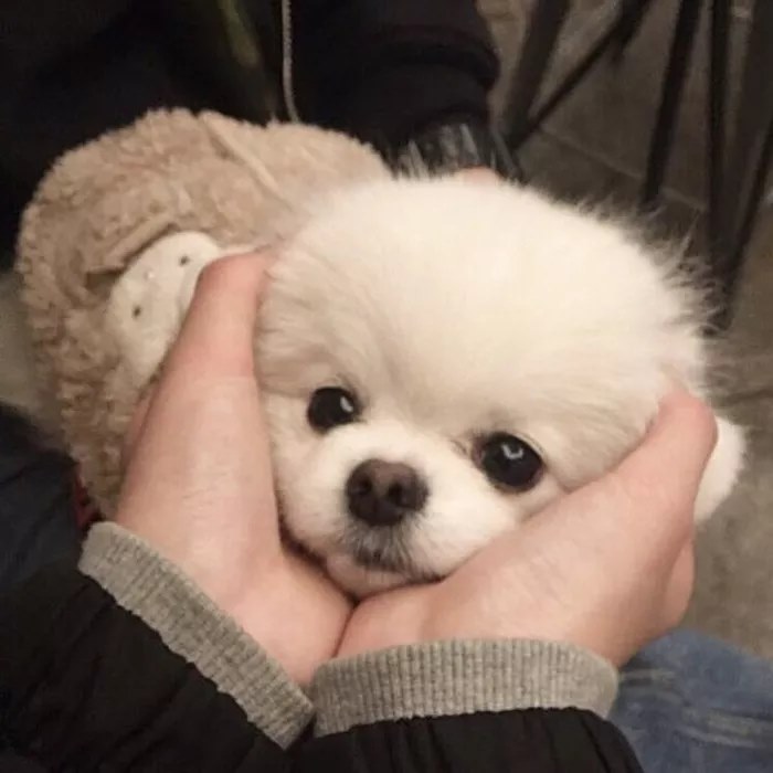 哭着把眼泪咽下笑着把眼泪吞下的头像-鱼见海资源网-免费PHP网站源码模板,插件软件网创AI智能体资源分享平台！